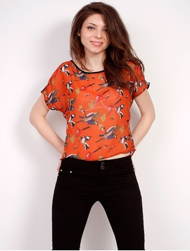 Bluza 